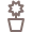 Растения